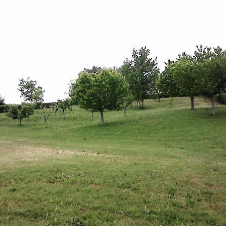 Casa In Campagna _Lori Вольта-Мантована Экстерьер фото