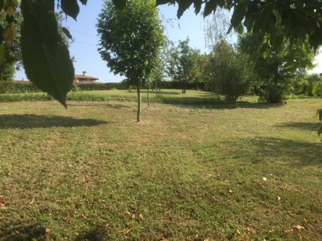 Casa In Campagna _Lori Вольта-Мантована Экстерьер фото