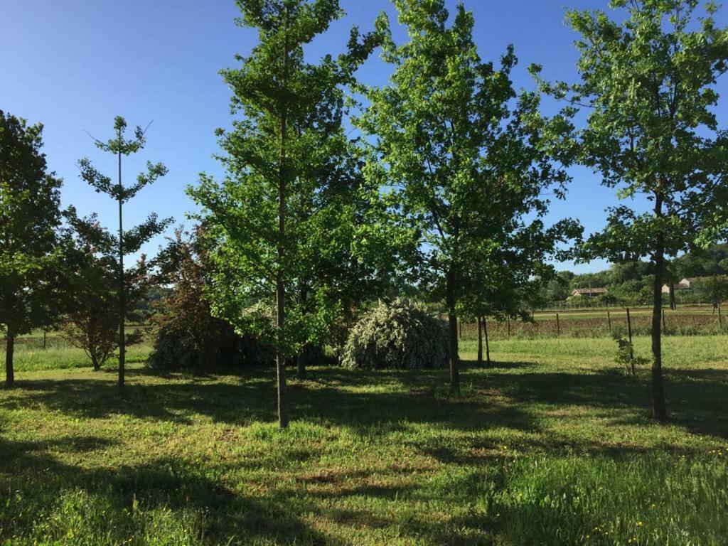 Casa In Campagna _Lori Вольта-Мантована Экстерьер фото
